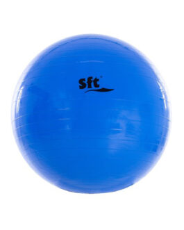 Pelota Gigante Softee