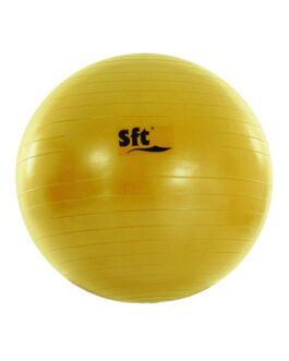 Pelota Gigante Softee Flexi
