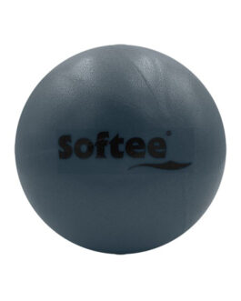 Pelota Pilates