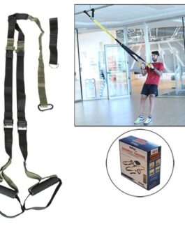 Dynamic Trainer Softee