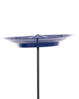 Set Plato Chino