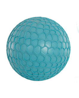 Pelota Softee Sensorial Net