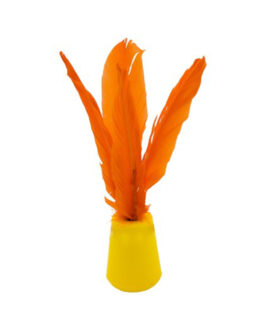 Indiaka